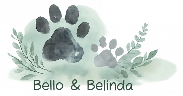 bello belinda logo 2026